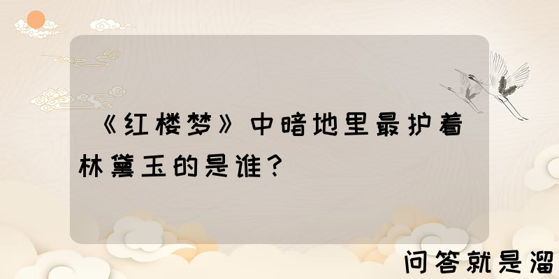 《红楼梦》中暗地里最护着林黛玉的是谁？