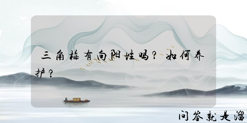 三角梅有向阳性吗？如何养护？