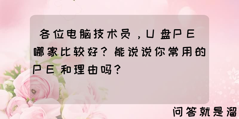 各位电脑技术员，U盘PE哪家比较好？能说说你常用的PE和理由吗？