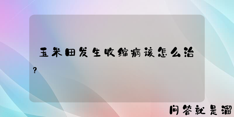 玉米田发生收缩病该怎么治？