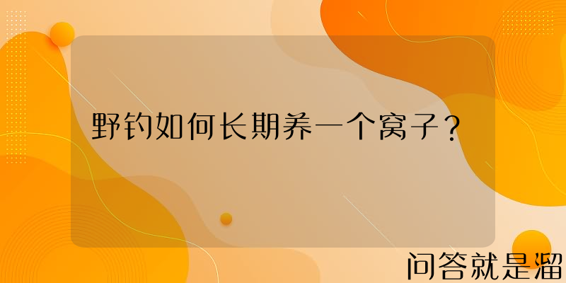 野钓如何长期养一个窝子？