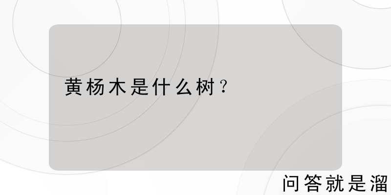 黄杨木是什么树？